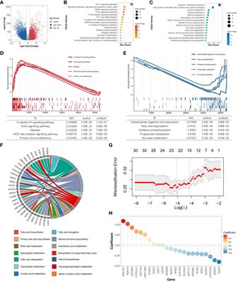 Development of prognostic signatures and risk index related to lipid metabolism in ccRCC